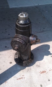 01 Полный запрет парковки Гидрант